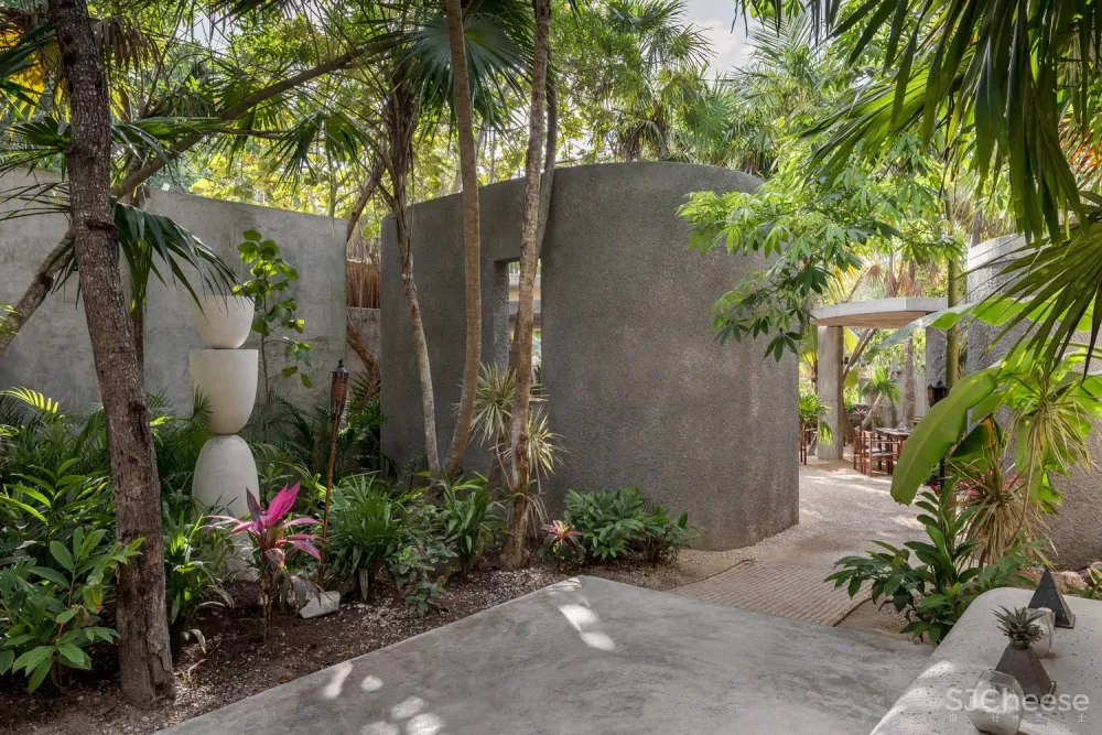 Estudio Atemporal | 丛林间最纯粹的酒吧体验