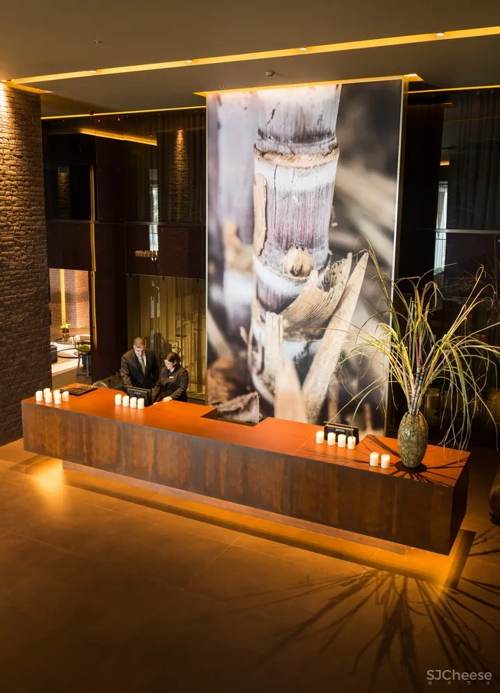 RH+ Arquitectos | 葡萄牙Savoy Saccharum酒店 首