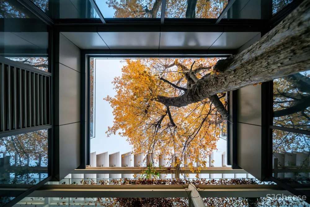 新苏集团研发中心，无锡 / 上海米丈建筑