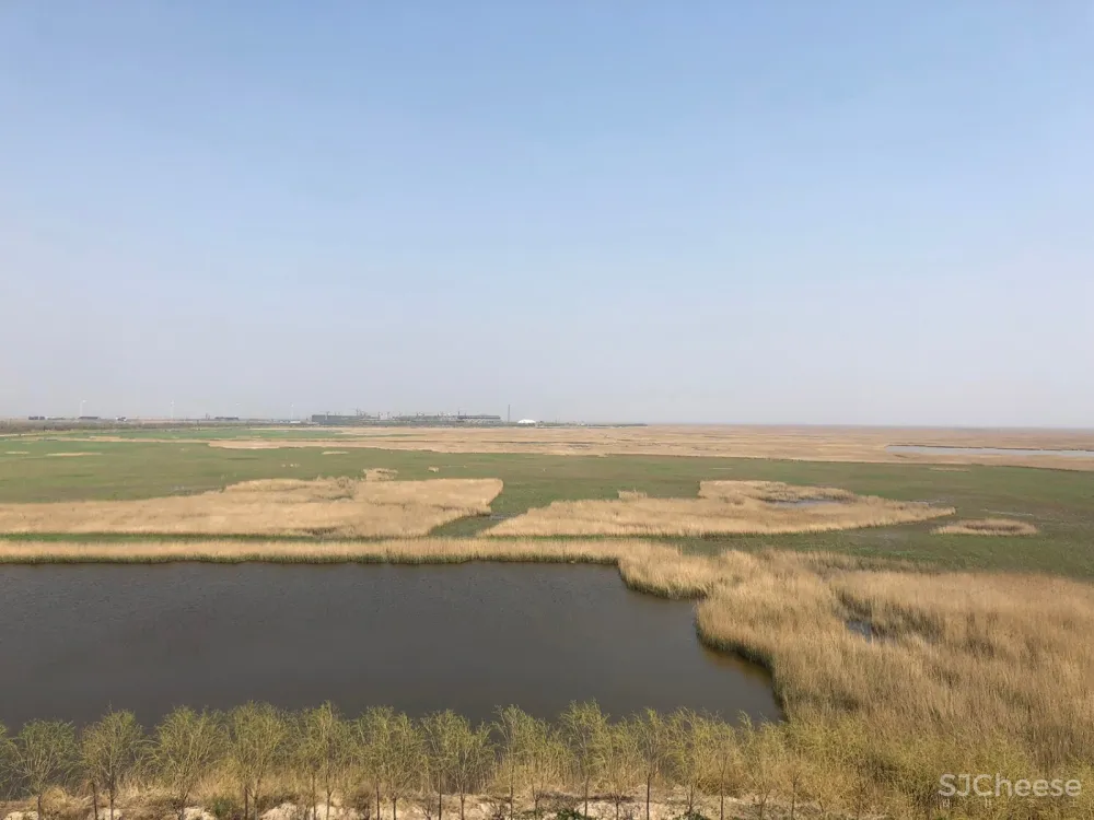 新作 | 丘建筑设计事务所:河南 湿地旁的禅修馆 首