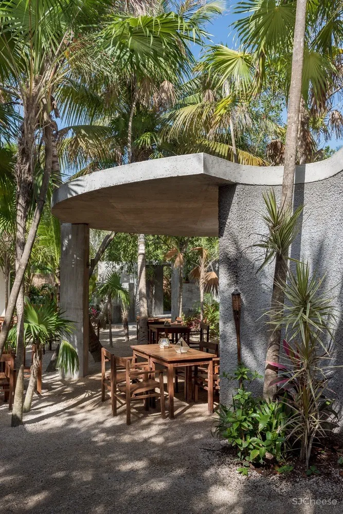 Estudio Atemporal | 丛林间最纯粹的酒吧体验