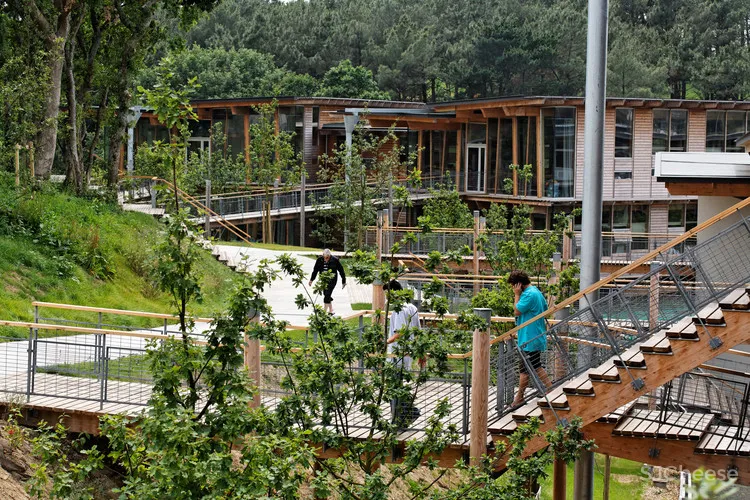 Campus Quiksilver Na Pali Patrick Arotcharen