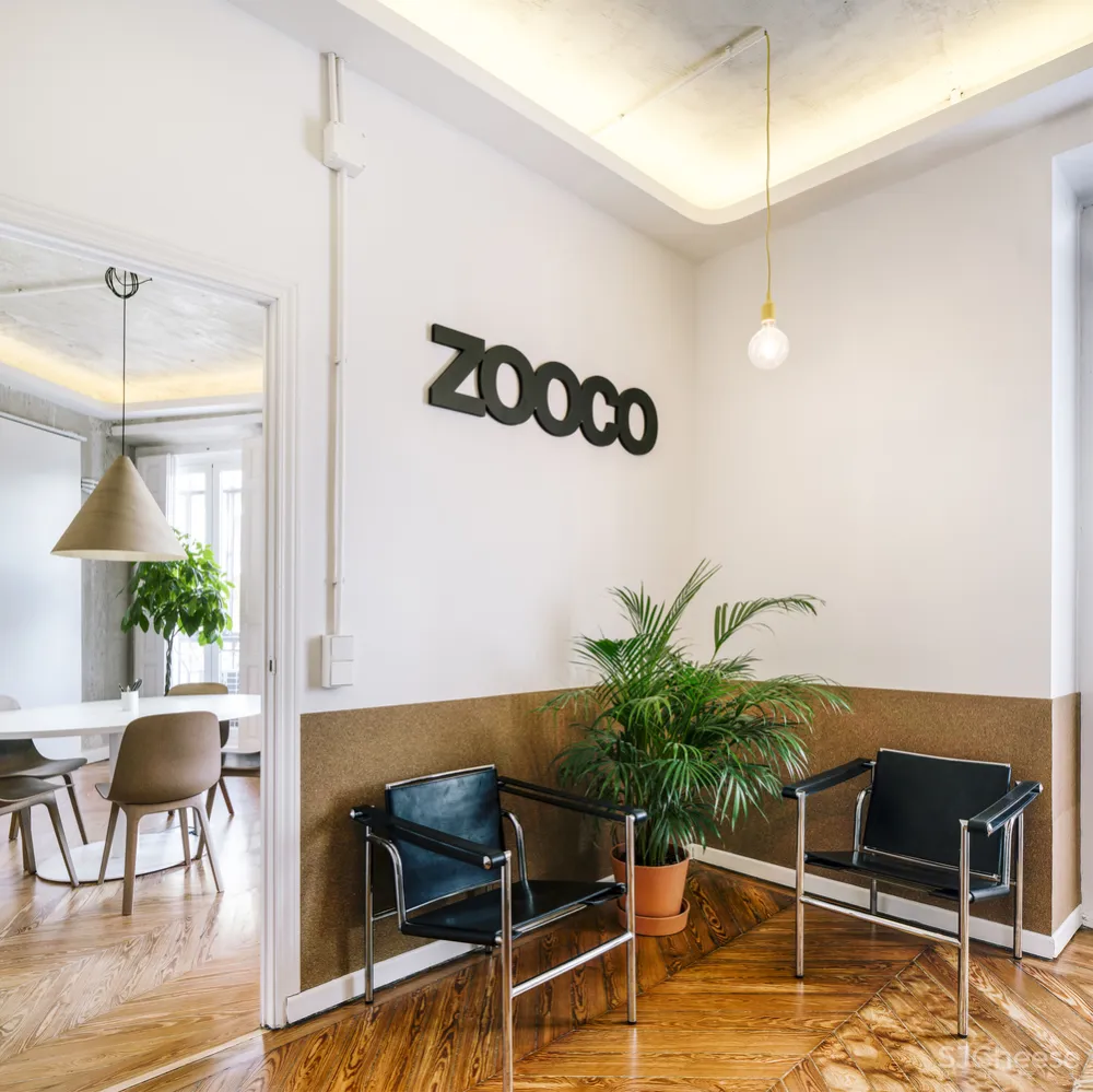 ZOOCO ZOOCO Estudio
