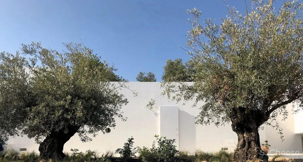 首发 | Casa Luum：葡萄牙乡村的极简主义