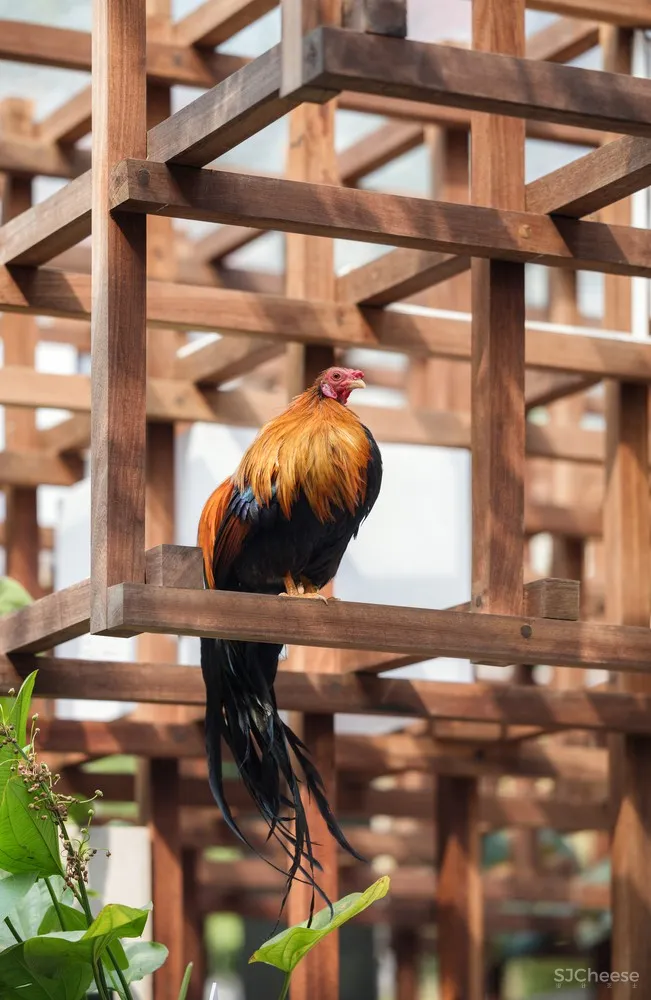 Farming Architects | 农业建筑师提出的城市VAC模型