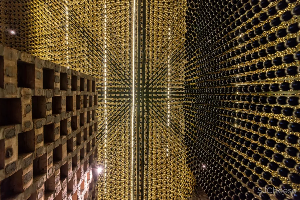 木珠串联的攀缘植物园，越南Mành Mành沙龙 H-P Architects