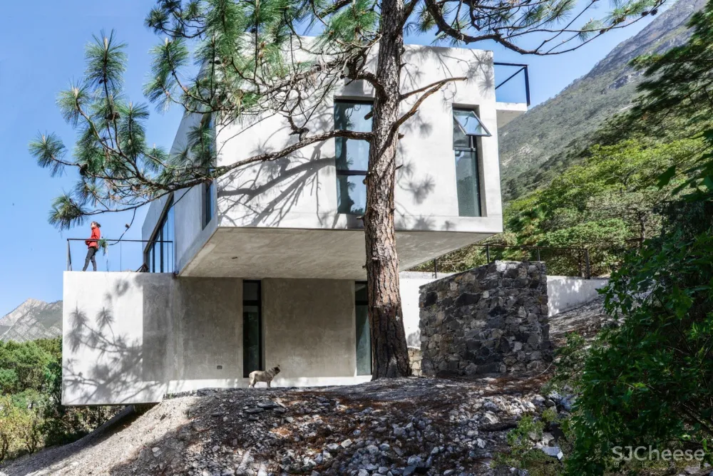 214E小屋,面向林间的观景台 / P+0 Architecture + David 首