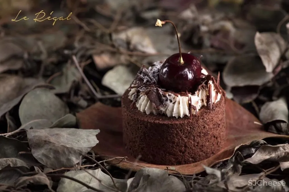 绘意明成 | 文艺复兴与现代文明的法式浪漫 首