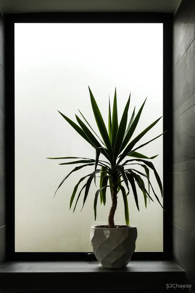 Jfs arquitecto | 智利传统住宅翻新