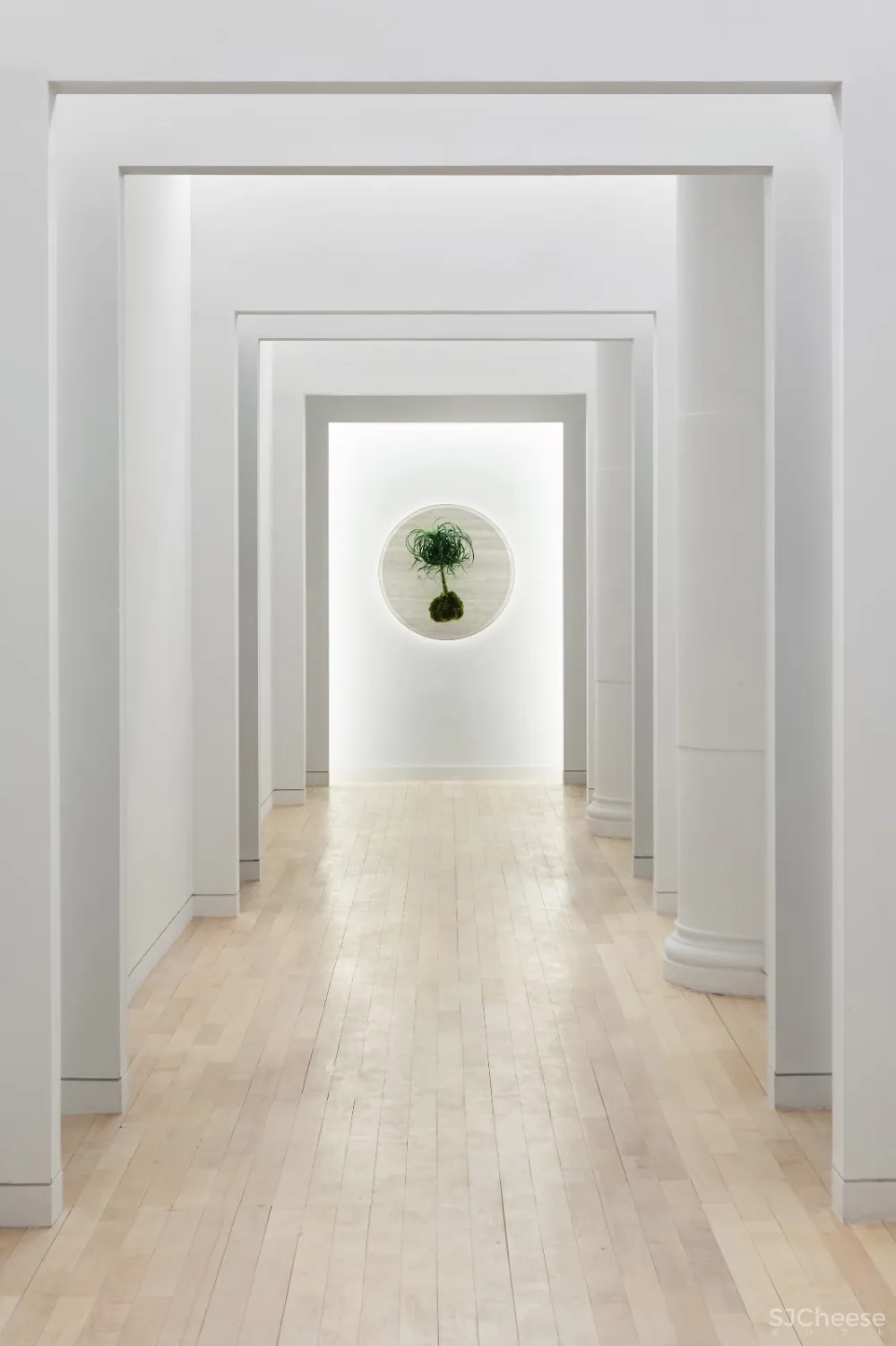 最新 | Alda Ly设计健康的质朴和家庭细节：纽约欧芹诊所 首