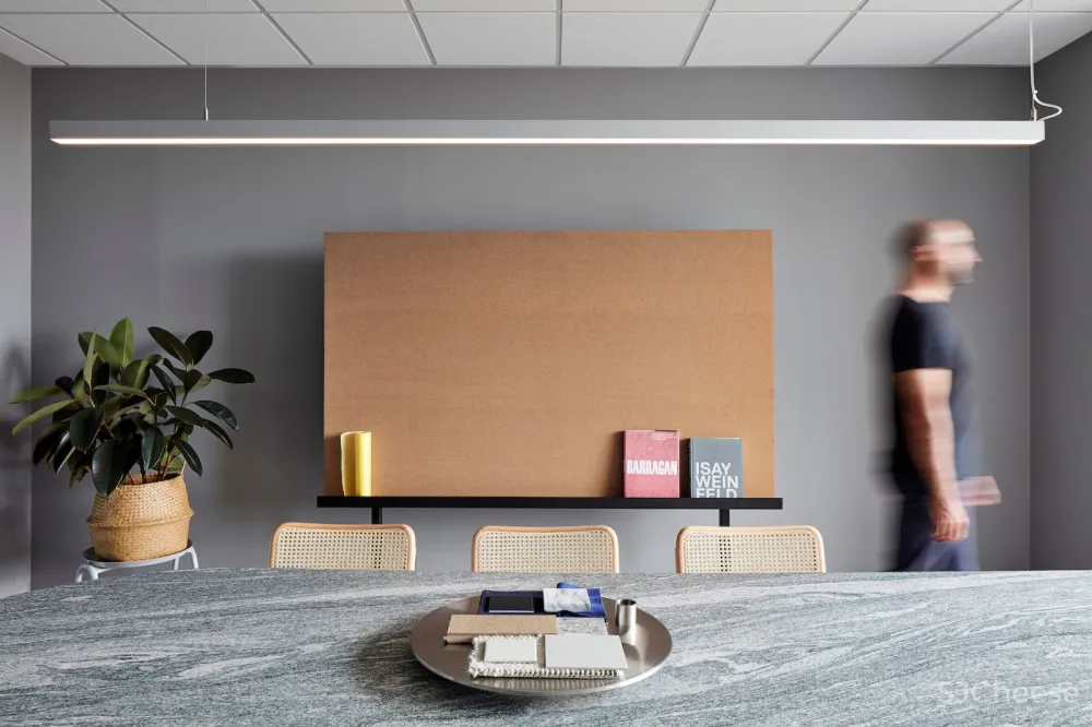 首发 | 不一样的灰色空间：Davidov Partners Architects工作室 首