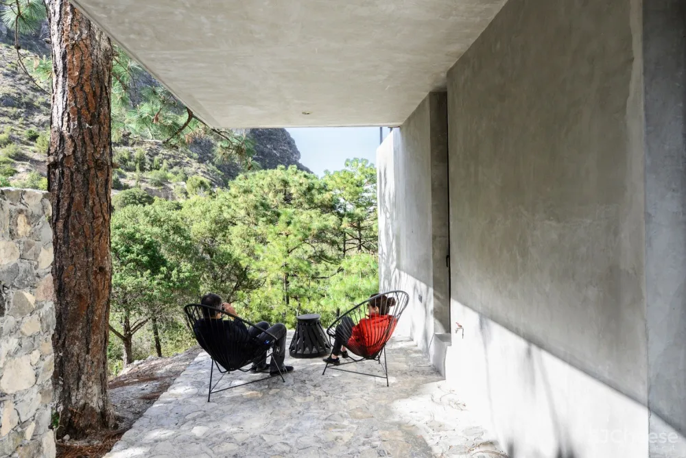 214E小屋,面向林间的观景台 / P+0 Architecture + David 首