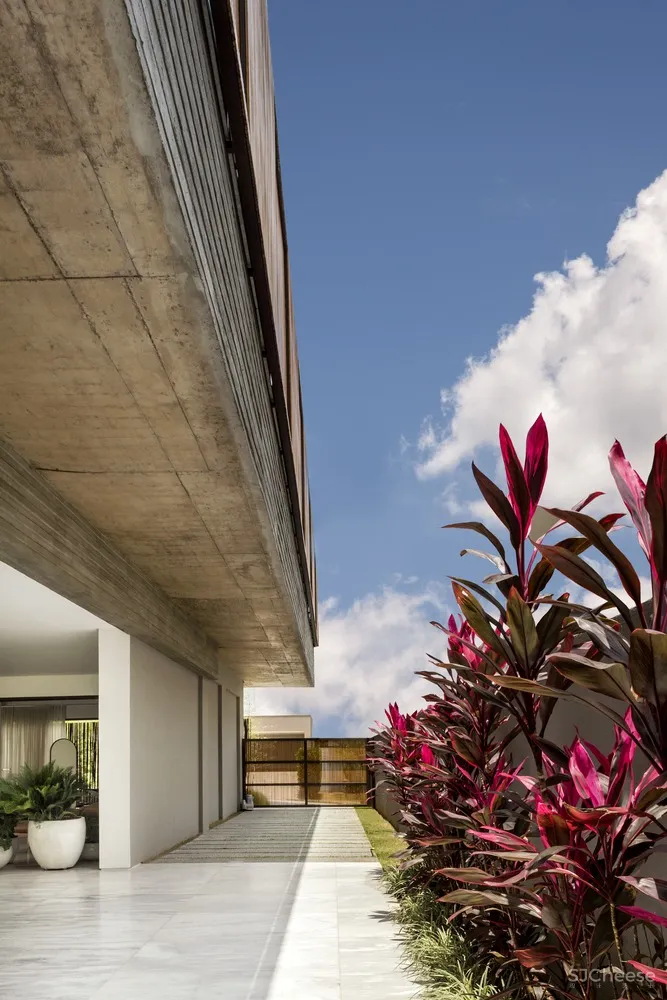 House of the Winds Leo Romano