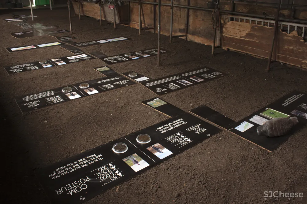 Grounded Studio Elmo Vermijs