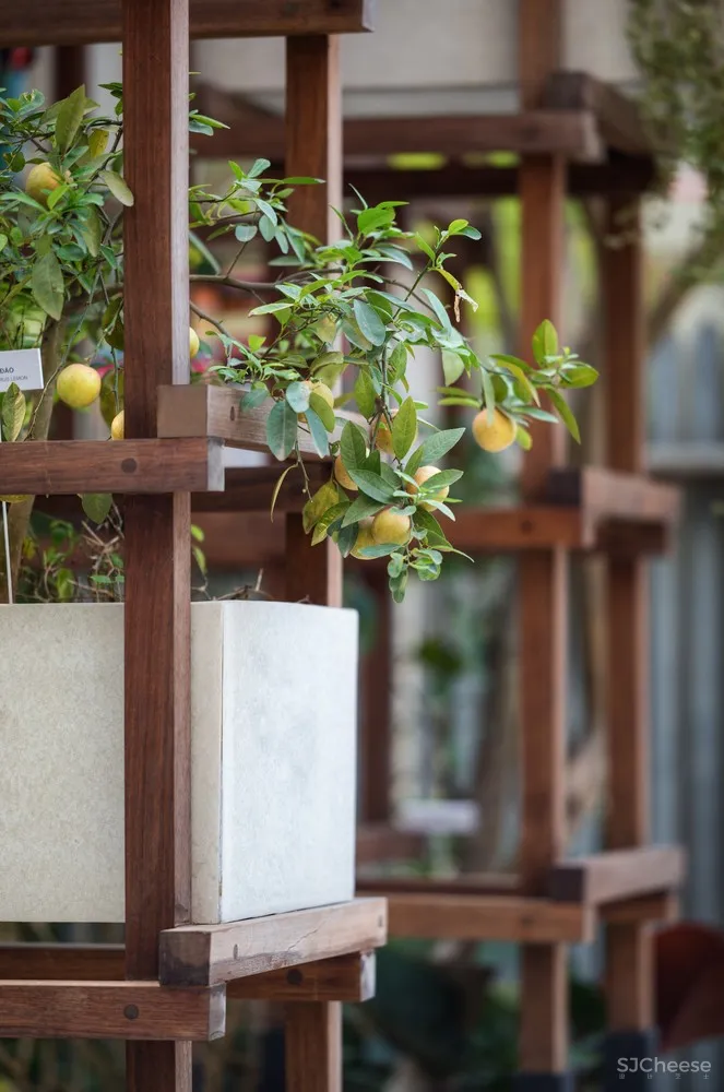 Farming Architects | 农业建筑师提出的城市VAC模型