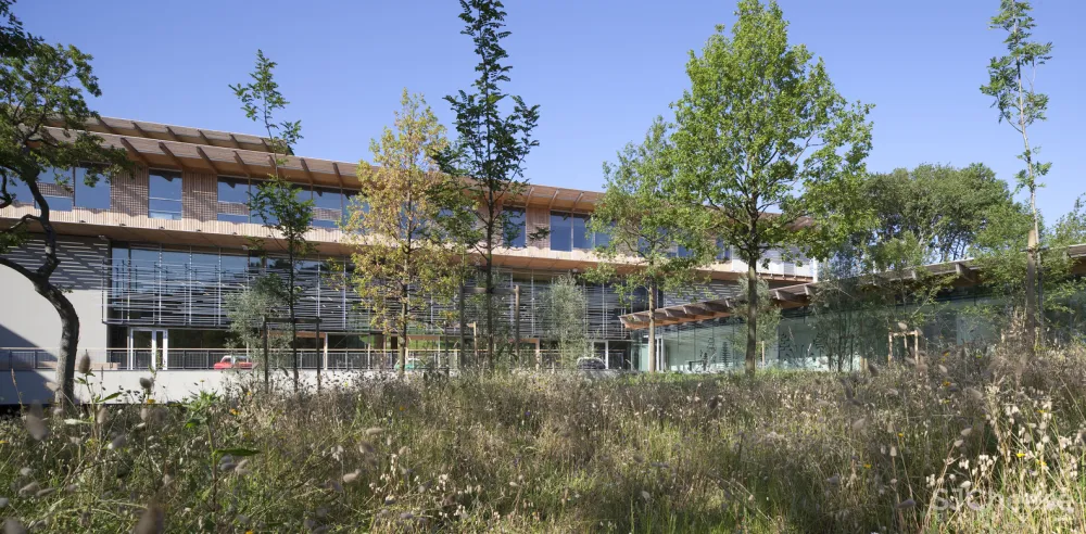 Campus Quiksilver Na Pali Patrick Arotcharen