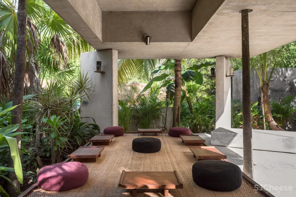 Estudio Atemporal | 丛林间最纯粹的酒吧体验