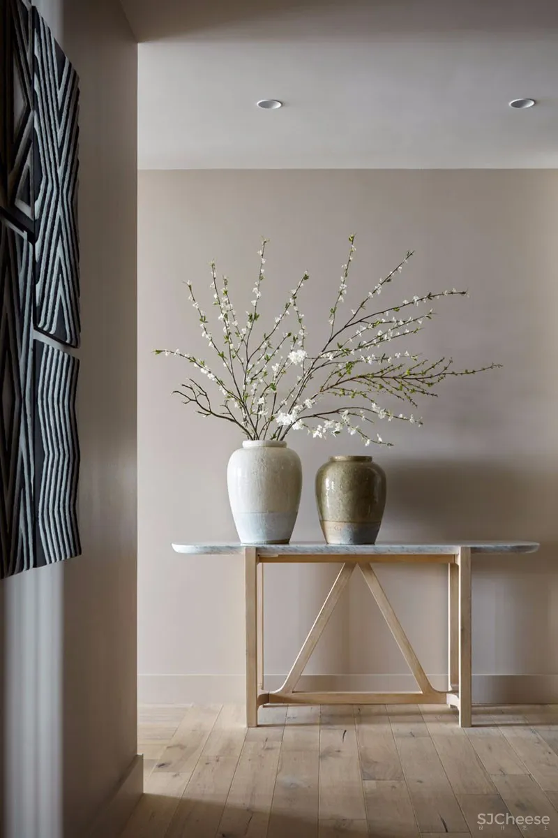 莫斯科有着多变墙面装饰的现代公寓