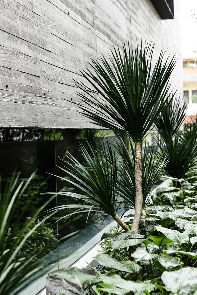 ONG&ONG Pte Ltd | 新加坡37FC住宅