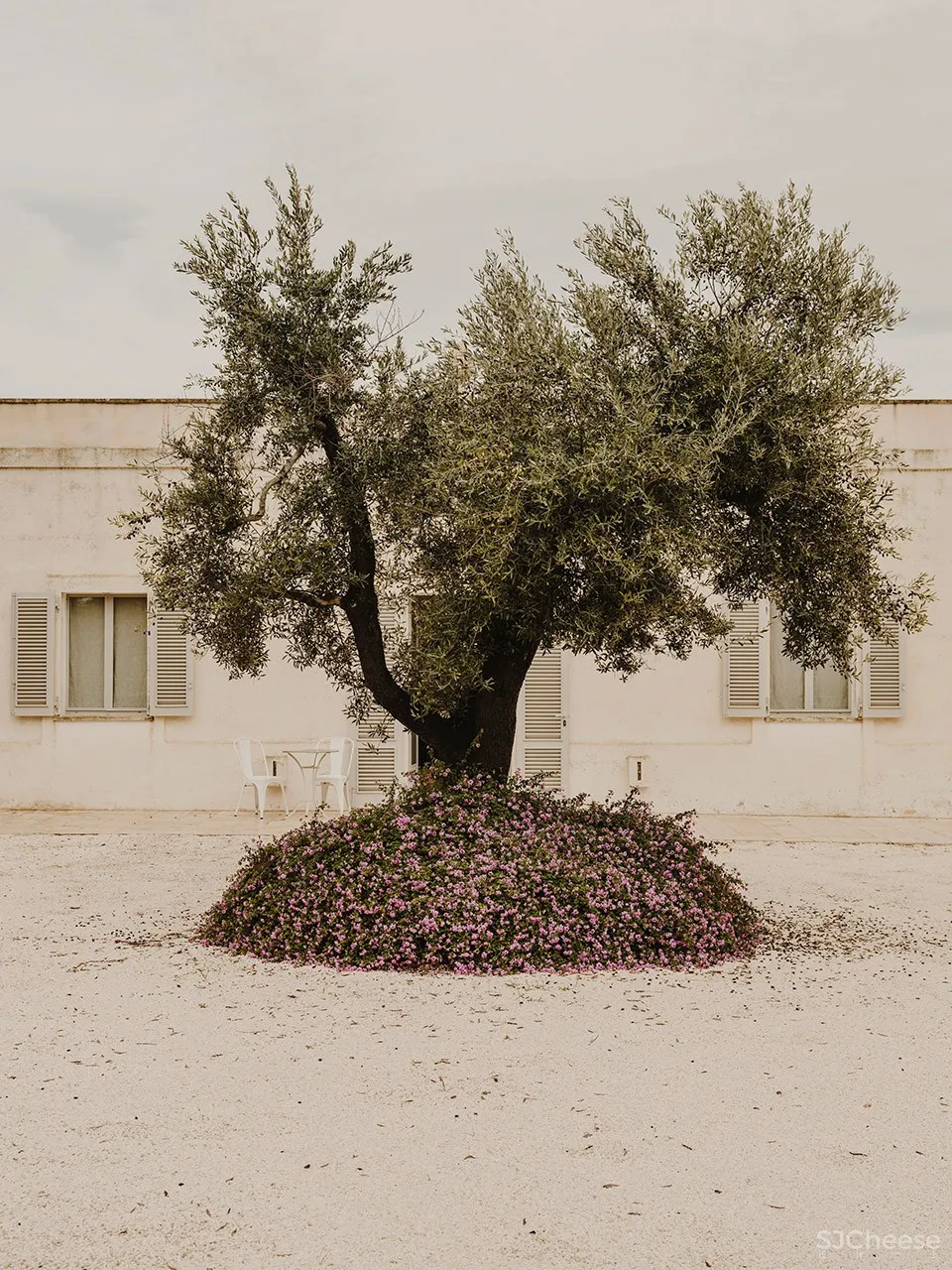 Castelluccio别墅,意大利 / Studio Andrew Trotter