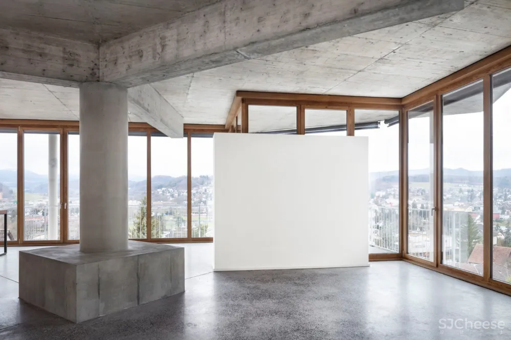 Schaerermattle Architects：瑞士方形平台极简住宅 首