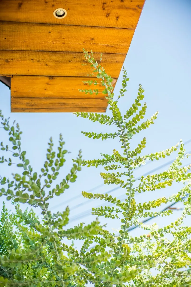 Dear Home亲家-HoPuDesign