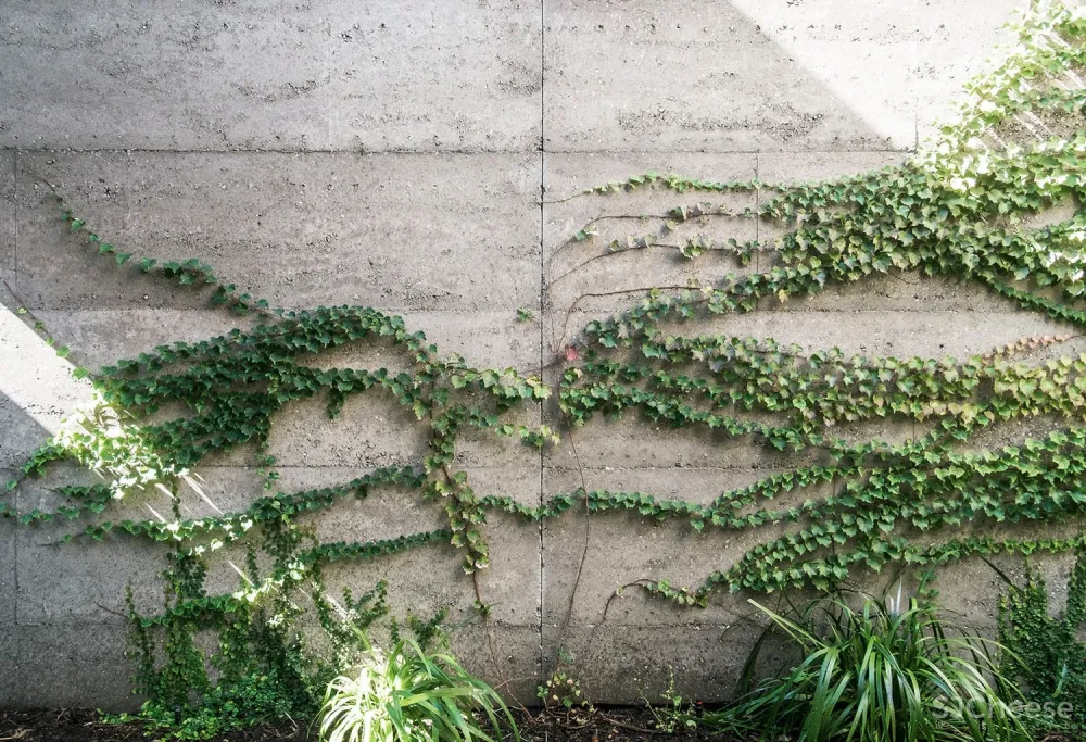 首发 | MORQ ARCHITECTURE 禁欲美学:澳大利亚珀斯修道院住宅