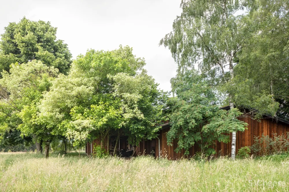 B-bis architecten：比利时度假别墅 House R