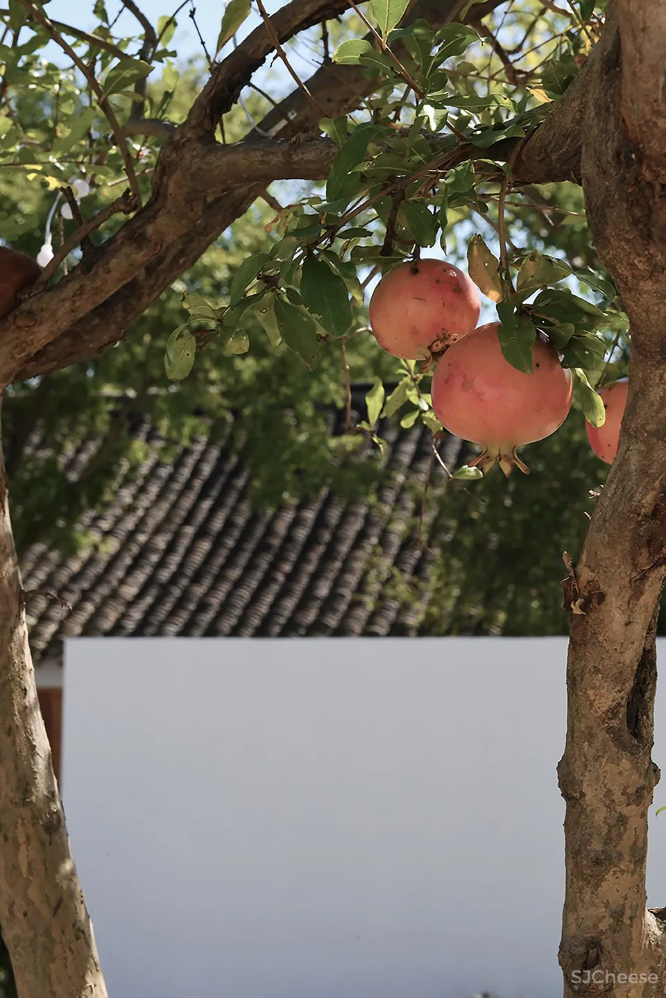 篱外·时光的圆民宿酒店,上海 / 元秀万建筑事务所