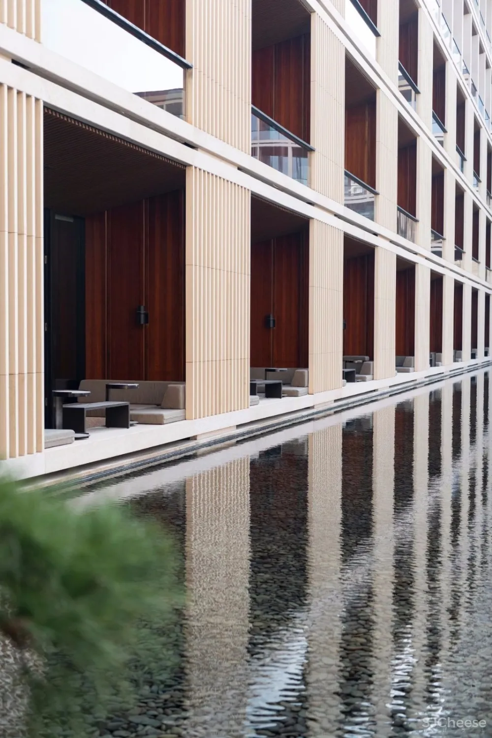 入住璞尚酒店/我终于体验到了真正的都会桃源/还打卡了厦门醉美日落