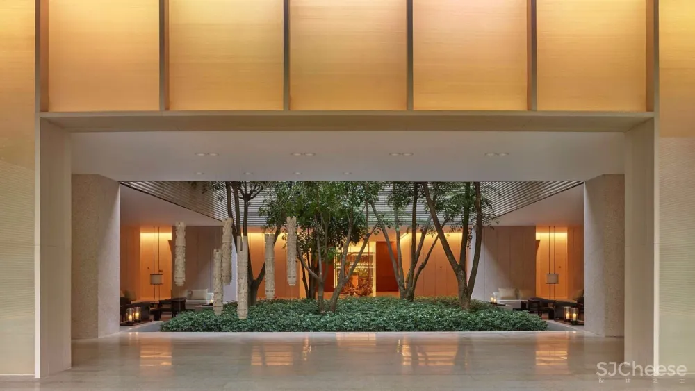 入住璞尚酒店/我终于体验到了真正的都会桃源/还打卡了厦门醉美日落