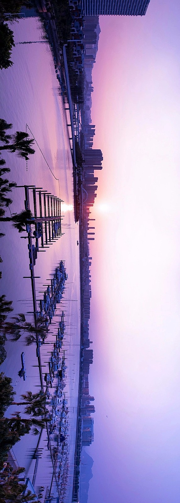 入住璞尚酒店/我终于体验到了真正的都会桃源/还打卡了厦门醉美日落