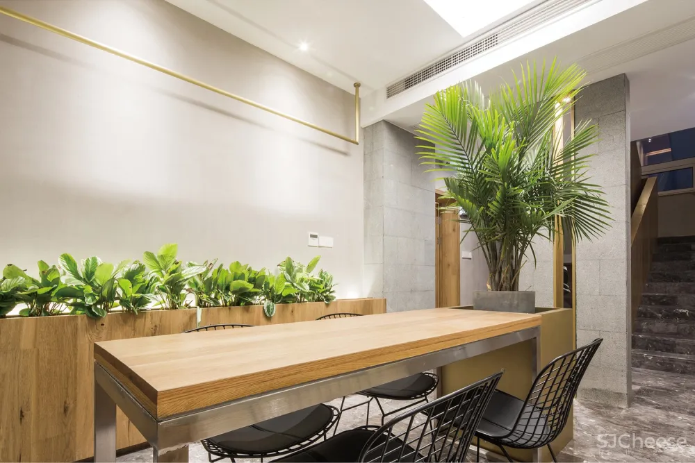 园艺接待中心室内设计 / 森上设计