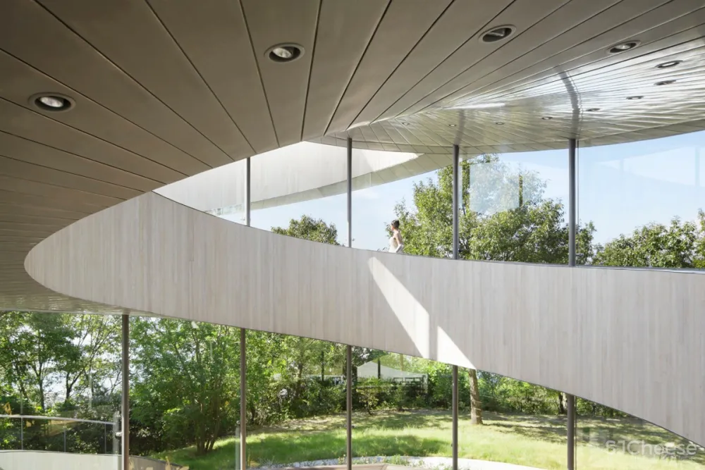 NAP Architects：日本 丝带教堂