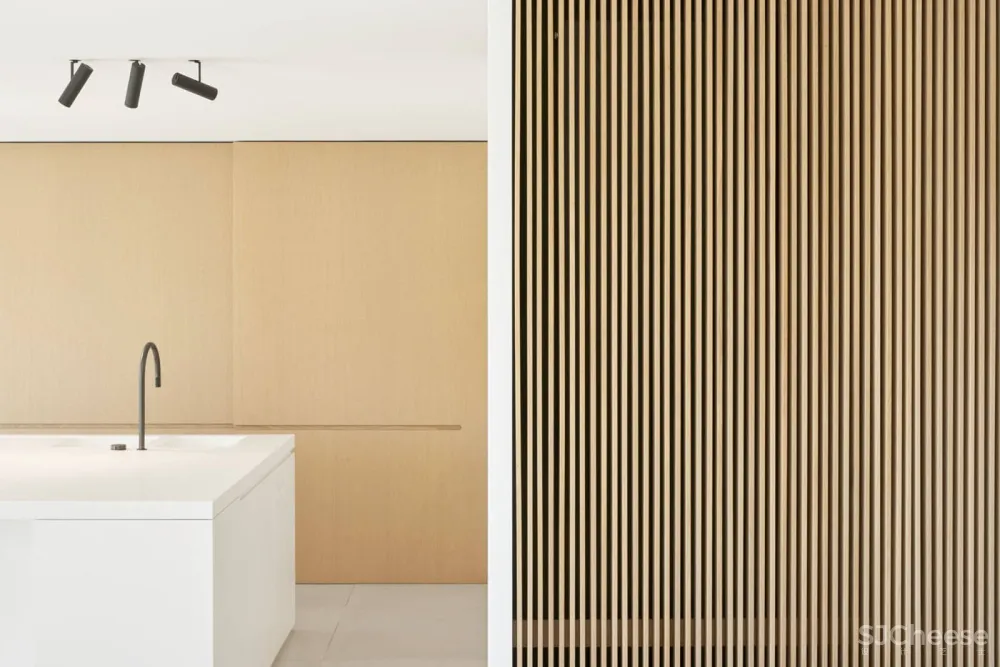 首发 | minus:比利时极简Roeselare住宅 首