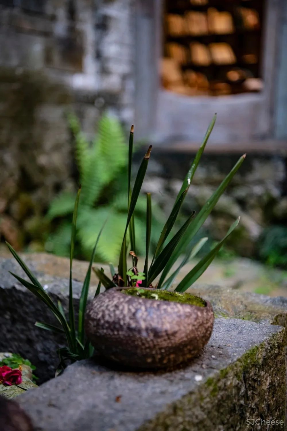 百年土楼改建的归隐系行馆,超凡体验,远胜国际五星