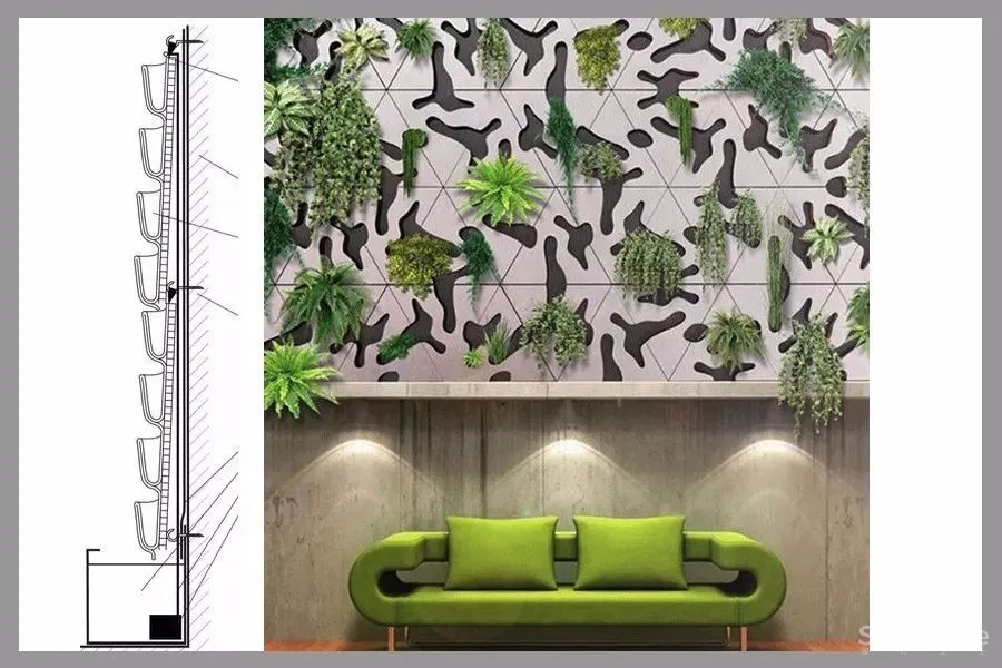 绿植长在墙上丨个性又省地方 首