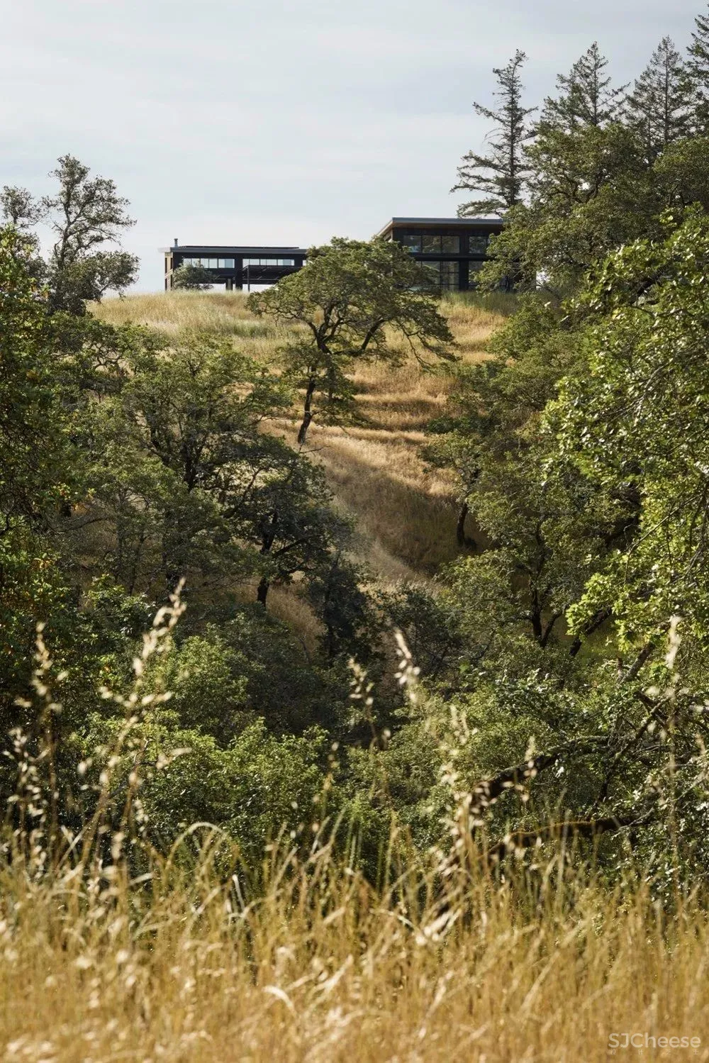 这才是真正的隐居生活