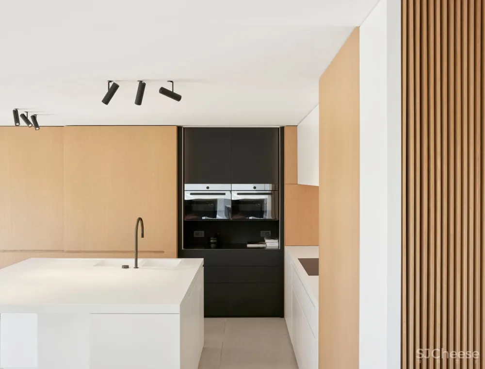 首发 | minus:比利时极简Roeselare住宅 首