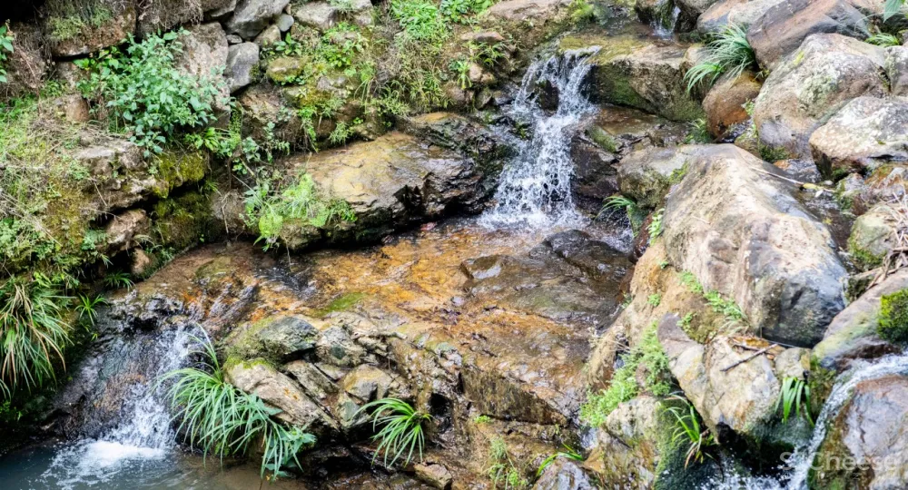 百年土楼改建的归隐系行馆,超凡体验,远胜国际五星