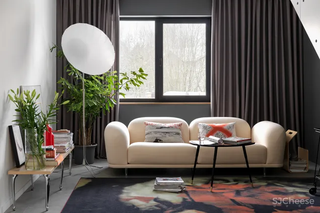 以“家庭美术馆”为主题的住宅设计 | Светлана Коледа 首