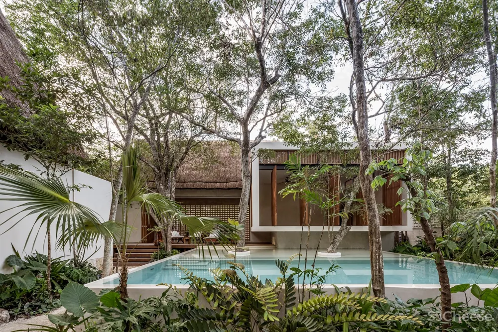 新作 | Jaque Studio:玛雅丛林的小型精品酒店Jungle Keva hotel