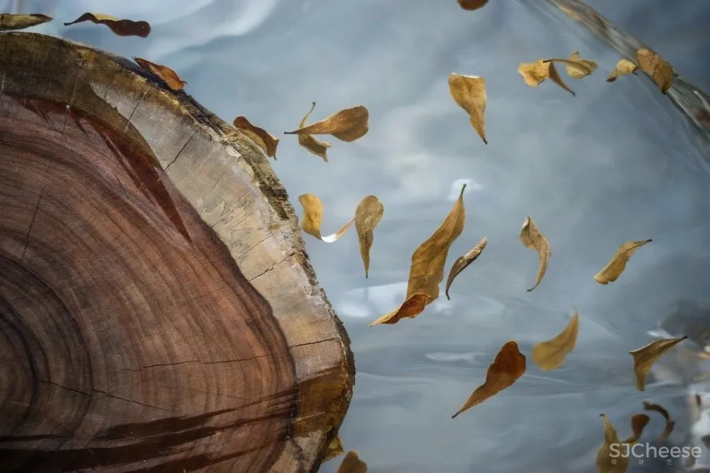 清荷雅韵丨演绎最浪漫的东方设计