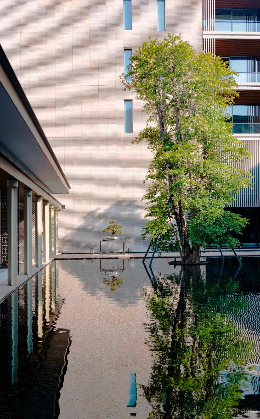 入住璞尚酒店/我终于体验到了真正的都会桃源/还打卡了厦门醉美日落