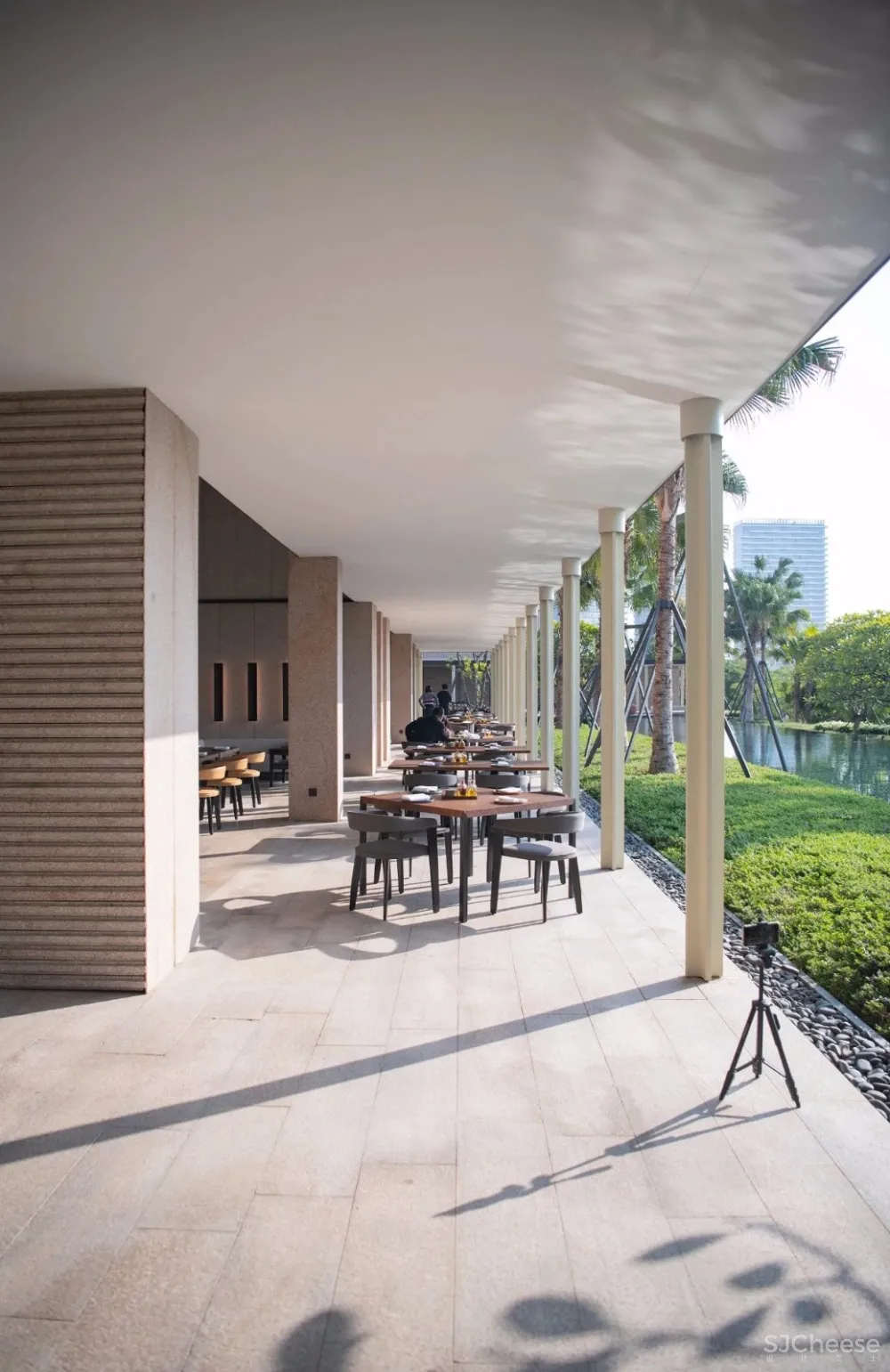 入住璞尚酒店/我终于体验到了真正的都会桃源/还打卡了厦门醉美日落