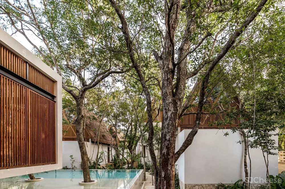 新作 | Jaque Studio:玛雅丛林的小型精品酒店Jungle Keva hotel