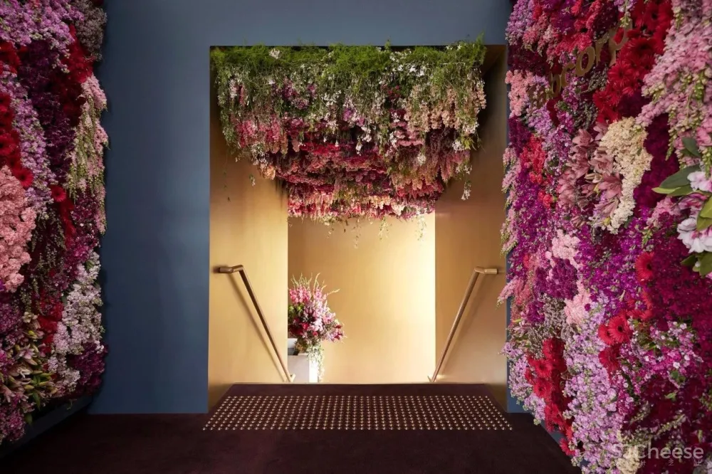 Mim Design新作 | 澳大利亚设计的致美