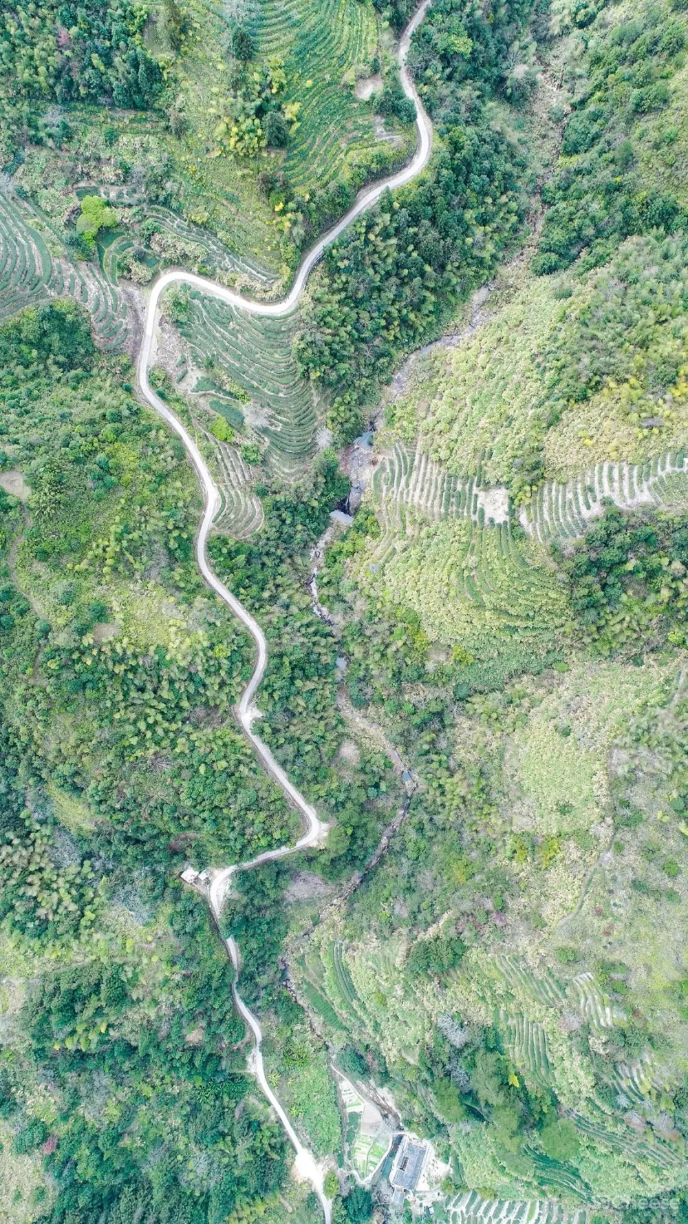 百年土楼改建的归隐系行馆,超凡体验,远胜国际五星