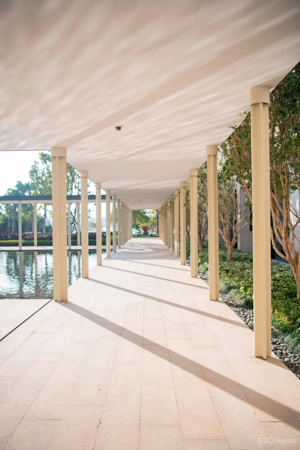 入住璞尚酒店/我终于体验到了真正的都会桃源/还打卡了厦门醉美日落