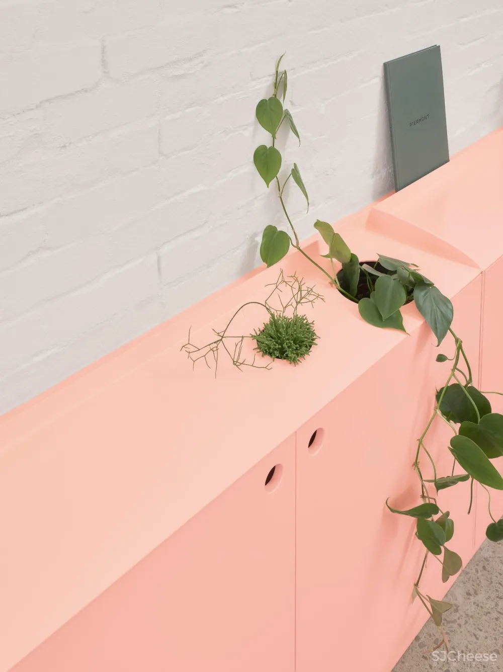 首发 | BoardGrove Architects:粉粉春桃色墨尔本办公空间